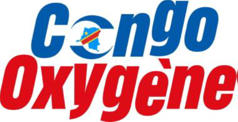 1. A propos de la société Congo Oxygène SARL